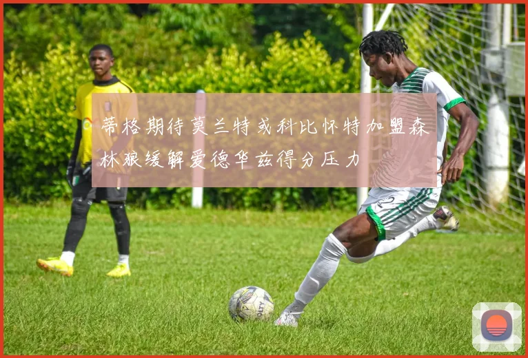 蒂格期待莫兰特或科比怀特加盟森林狼缓解爱德华兹得分压力