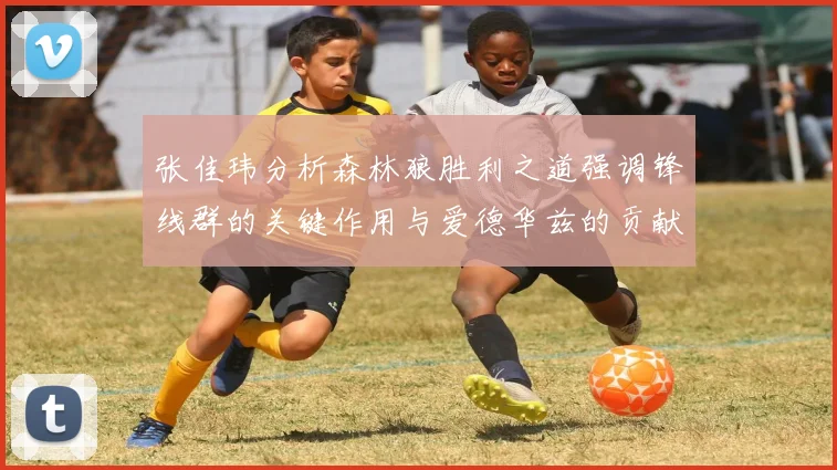 张佳玮分析森林狼胜利之道强调锋线群的关键作用与爱德华兹的贡献